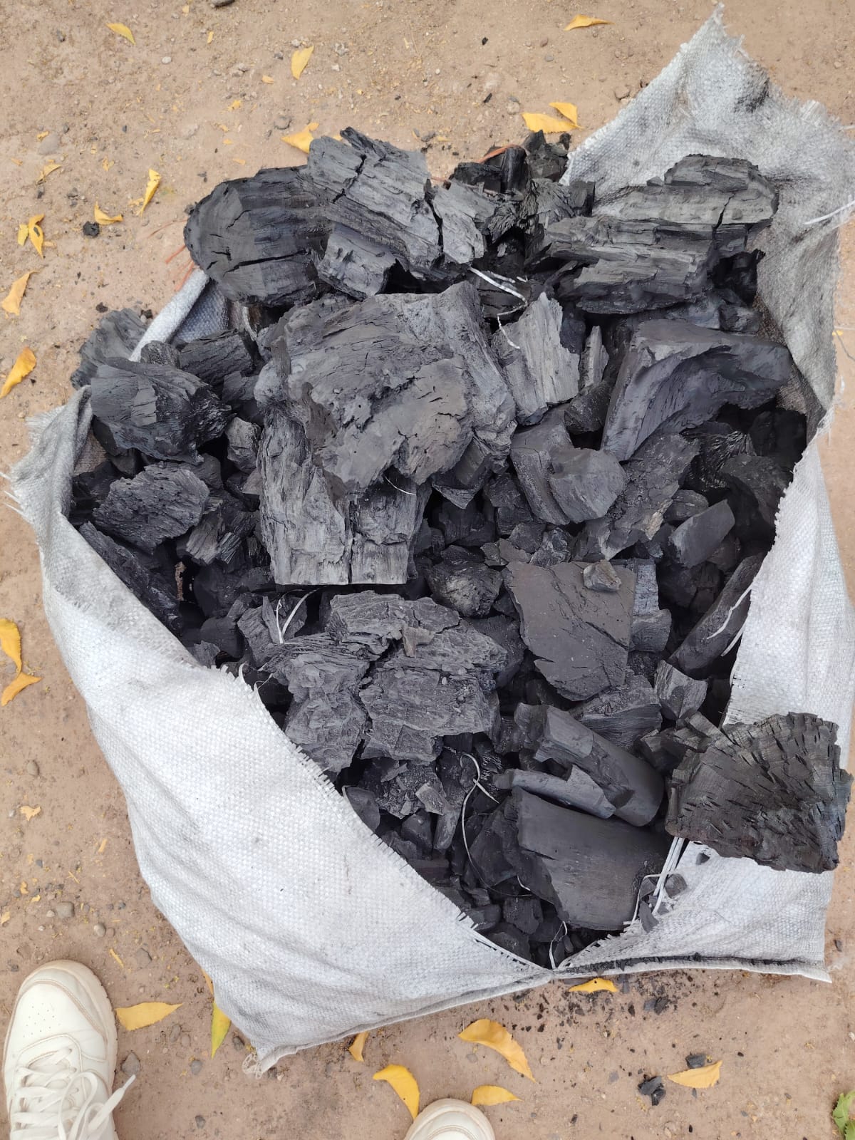 Mesquite Charcoal